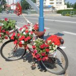 Hlasujte pro nejhezčí Veselé kolo. Soutěží jich letos 48