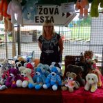 V Chotovinách na slavnosti ocenili zasloužilé členy TJ Sokol