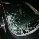Policie přináší další informace o smrtelné nehodě ve Veselí