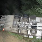 Auto převážející skot sjelo do příkopu, zvířata překládali dobrovolní hasiči