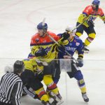 Motor porazil německé Lišky, příští týden hraje domácí turnaj