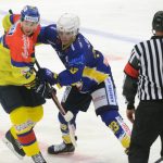 Motor porazil německé Lišky, příští týden hraje domácí turnaj