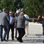 V píseckém hřebčinci se dnes představily tříleté klisny a letošní hříbata