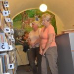 Rekonstrukce knihovny přišla Sedlici na čtvrt milionu korun