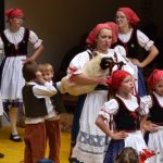 Jihočeské folklorní sdružení se představilo na festivalu v Rakousku