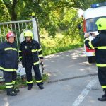 Hasiči cvičili zásah v areálu strakonické čističky
