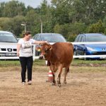 Selské slavnosti v Sudoměřicích jsou oslavou českých farmářů. Milovníci dobrého jídla slaví s nimi