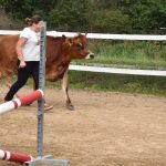 Selské slavnosti v Sudoměřicích jsou oslavou českých farmářů. Milovníci dobrého jídla slaví s nimi