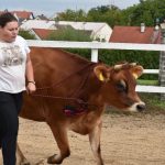 Selské slavnosti v Sudoměřicích jsou oslavou českých farmářů. Milovníci dobrého jídla slaví s nimi