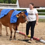 Selské slavnosti v Sudoměřicích jsou oslavou českých farmářů. Milovníci dobrého jídla slaví s nimi