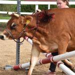 Selské slavnosti v Sudoměřicích jsou oslavou českých farmářů. Milovníci dobrého jídla slaví s nimi