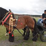 Selské slavnosti v Sudoměřicích jsou oslavou českých farmářů. Milovníci dobrého jídla slaví s nimi