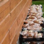 Selské slavnosti v Sudoměřicích jsou oslavou českých farmářů. Milovníci dobrého jídla slaví s nimi