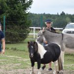 Selské slavnosti v Sudoměřicích jsou oslavou českých farmářů. Milovníci dobrého jídla slaví s nimi