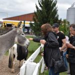 Selské slavnosti v Sudoměřicích jsou oslavou českých farmářů. Milovníci dobrého jídla slaví s nimi
