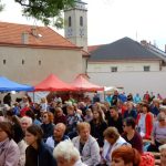Slavnosti úrody nabídly koncerty, řemesla a kuchařskou show. Památky byly volně přístupné