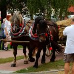 Slavnosti úrody nabídly koncerty, řemesla a kuchařskou show. Památky byly volně přístupné