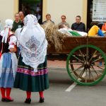 Slavnosti úrody nabídly koncerty, řemesla a kuchařskou show. Památky byly volně přístupné