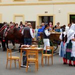 Slavnosti úrody nabídly koncerty, řemesla a kuchařskou show. Památky byly volně přístupné