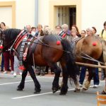 Slavnosti úrody nabídly koncerty, řemesla a kuchařskou show. Památky byly volně přístupné