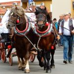 Slavnosti úrody nabídly koncerty, řemesla a kuchařskou show. Památky byly volně přístupné