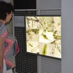 Čtrnáctý ročník Blatenského fotofestivalu, to byla divočina