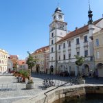 Festival zdraví v sobotu nabídne přednášky, rozhovory, hudbu a tanec. Skončí sbírka pro Adámka