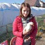 Na chovatelské výstavě v Měšicích je k vidění na 600 zvířat