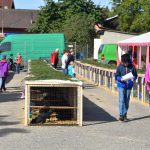 Na chovatelské výstavě v Měšicích je k vidění na 600 zvířat