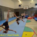 Tučapské gymnastky si zacvičily s českými reprezentantkami