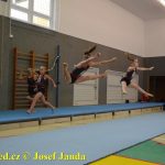 Tučapské gymnastky si zacvičily s českými reprezentantkami