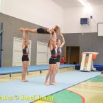 Tučapské gymnastky si zacvičily s českými reprezentantkami