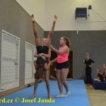 Tučapské gymnastky si zacvičily s českými reprezentantkami