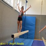 Tučapské gymnastky si zacvičily s českými reprezentantkami