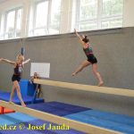 Tučapské gymnastky si zacvičily s českými reprezentantkami