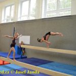 Tučapské gymnastky si zacvičily s českými reprezentantkami