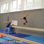 Tučapské gymnastky si zacvičily s českými reprezentantkami