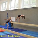 Tučapské gymnastky si zacvičily s českými reprezentantkami