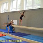 Tučapské gymnastky si zacvičily s českými reprezentantkami