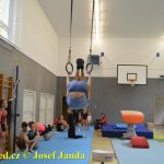 Tučapské gymnastky si zacvičily s českými reprezentantkami