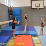 Tučapské gymnastky si zacvičily s českými reprezentantkami