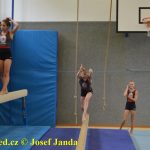 Tučapské gymnastky si zacvičily s českými reprezentantkami