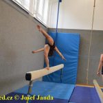 Tučapské gymnastky si zacvičily s českými reprezentantkami