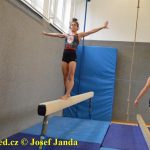 Tučapské gymnastky si zacvičily s českými reprezentantkami