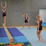 Tučapské gymnastky si zacvičily s českými reprezentantkami