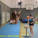 Tučapské gymnastky si zacvičily s českými reprezentantkami