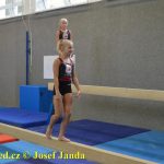 Tučapské gymnastky si zacvičily s českými reprezentantkami