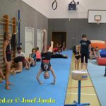 Tučapské gymnastky si zacvičily s českými reprezentantkami