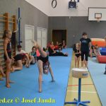 Tučapské gymnastky si zacvičily s českými reprezentantkami