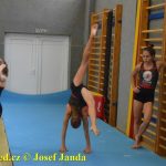 Tučapské gymnastky si zacvičily s českými reprezentantkami
